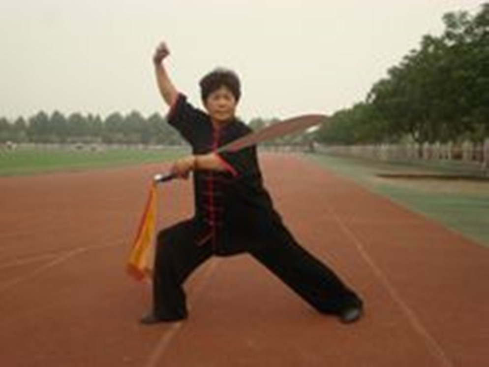 洛阳市武术协会副主席——岳素芳